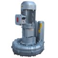 Воздуходувка FPZ-K11-TS-GVR-15-00-2-Flex-coupling-Vertical-IE2