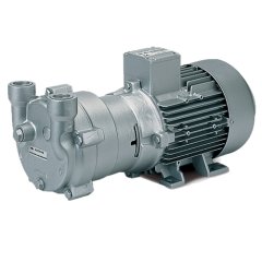 Вакуумный насос Elmo Rietschle L-BV2 2BV2 070-8HH03-8S