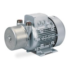 Вакуумный насос Elmo Rietschle L-BV7 2BV7 070-2AH08-4S